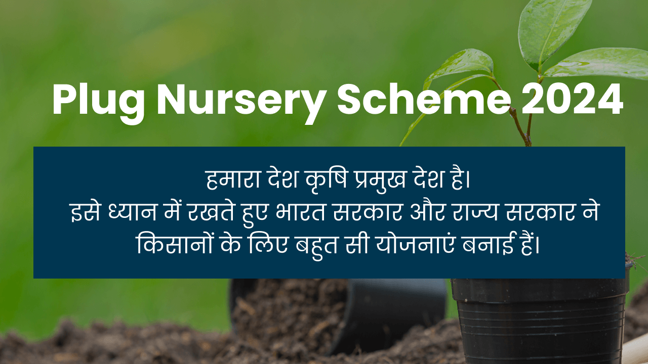 Plug Nursery Scheme 2024 | प्लग नर्सरी योजना 2024